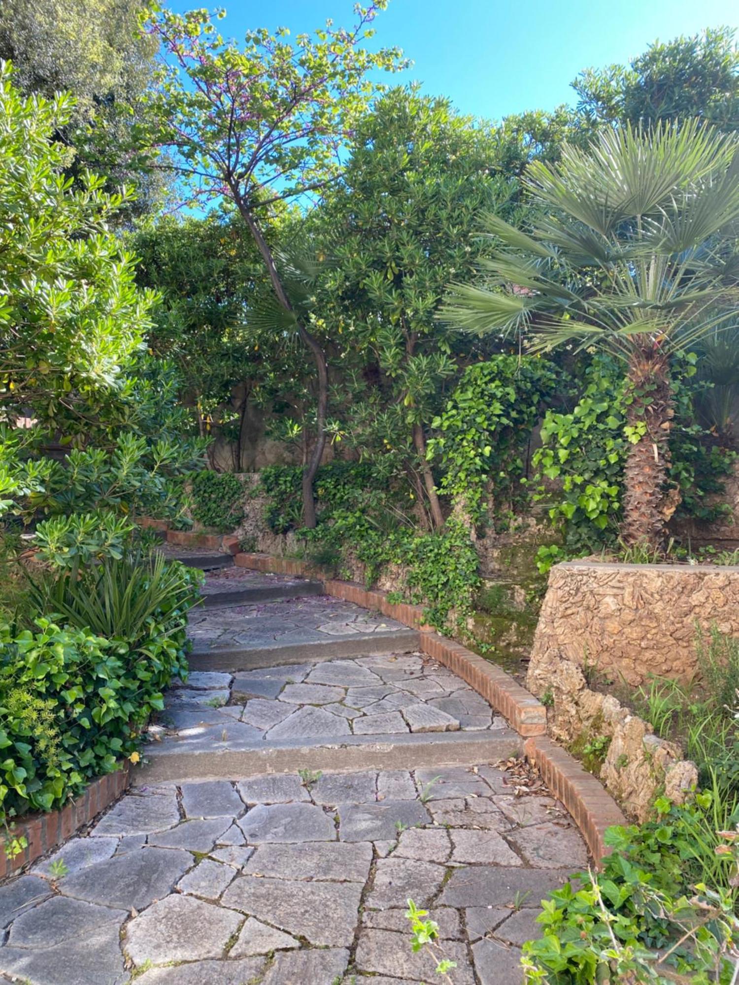 Villa Il Boschetto San Vincenzo Bagian luar foto