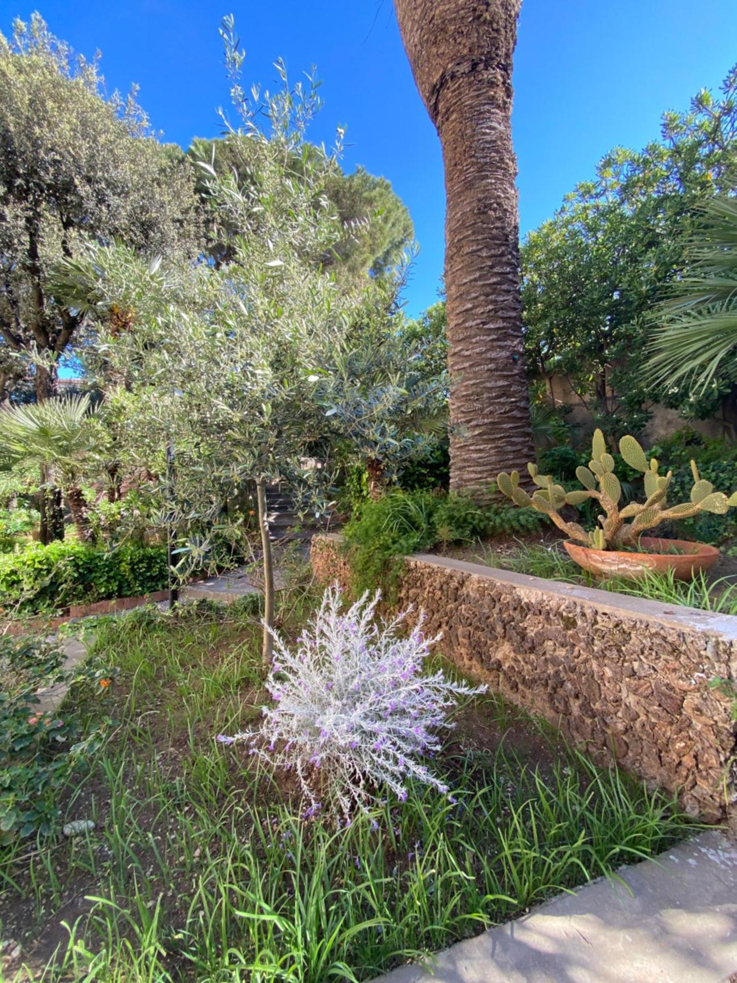 Villa Il Boschetto San Vincenzo Bagian luar foto
